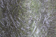 Upper Swell fibreglass roof work